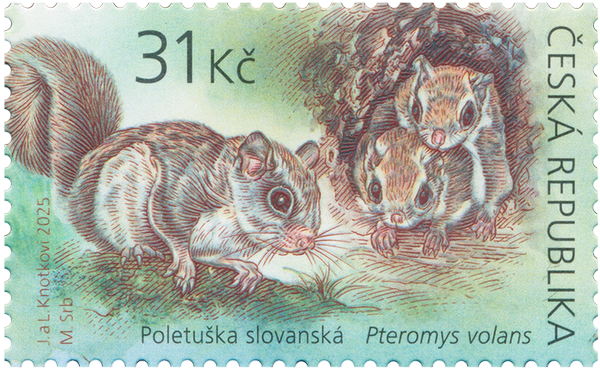 Evropská zvířata: 31 Kč / (J. a L. Knotkovi/M. Srb)